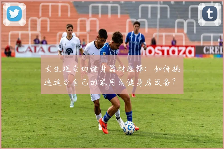 女生适合的健身器材选择:如何挑选适合自己的家用或健身房设备?