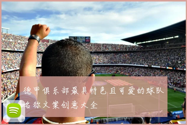 德甲俱乐部最具特色且可爱的球队名称文案创意大全