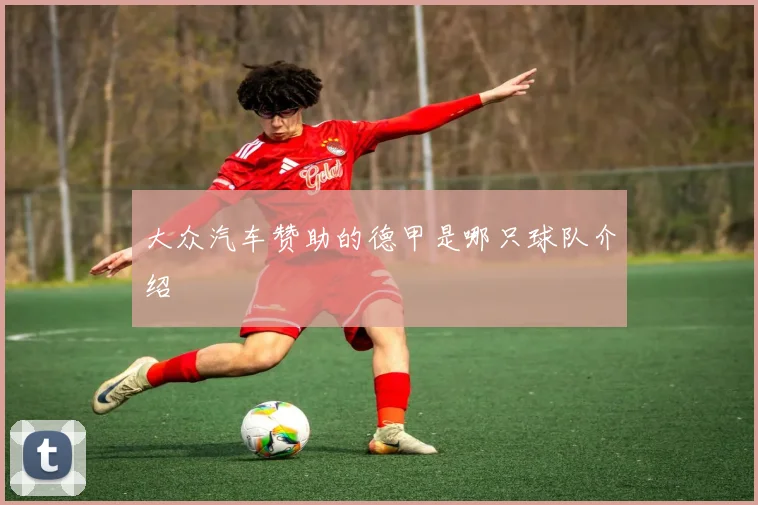 大众汽车赞助的德甲是哪只球队介绍