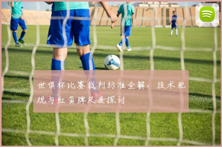 世俱杯比赛裁判标准全解,技术犯规与红黄牌尺度探讨
