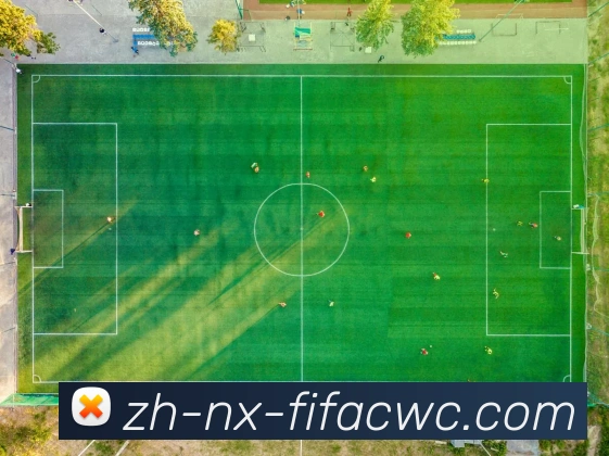 世界杯在线观看平台生态图