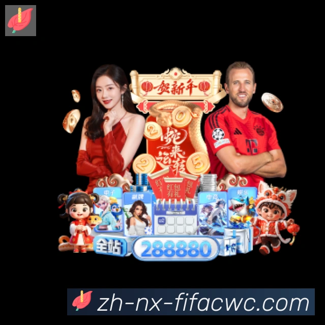 未来规划